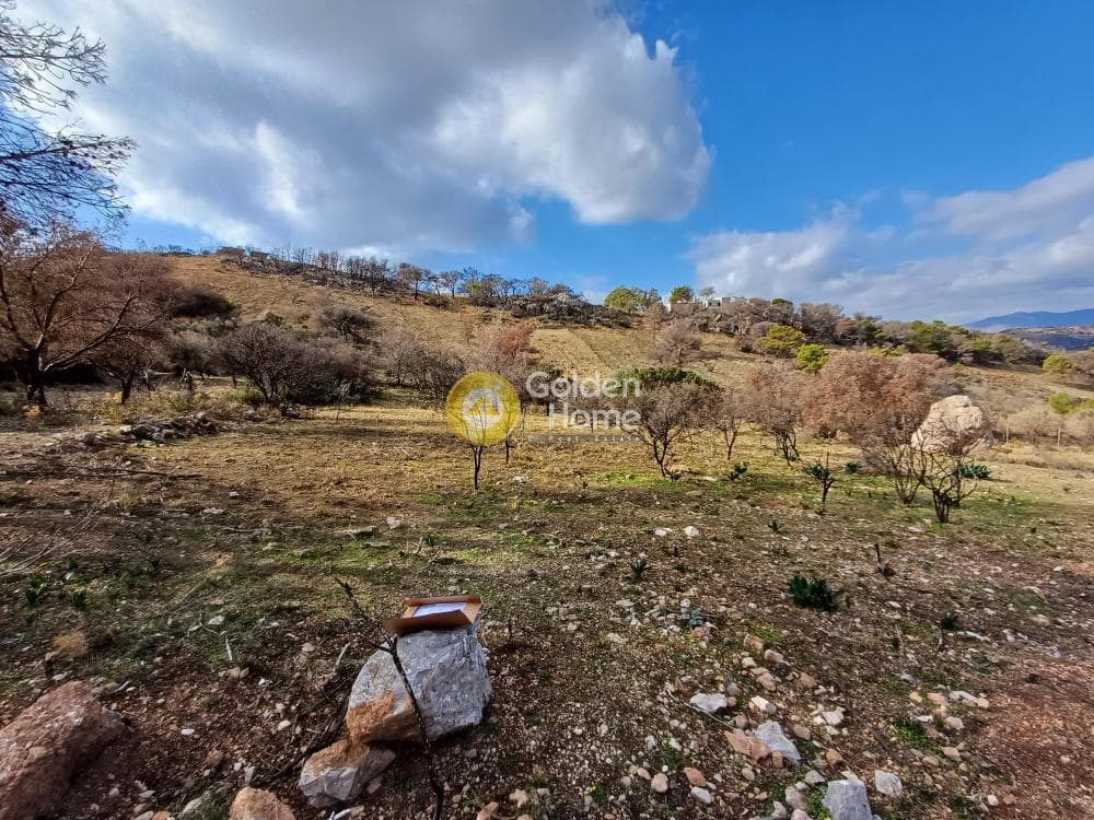 Parcel in Kalivia, Kalivia Thorikou — Photo 3 of 10