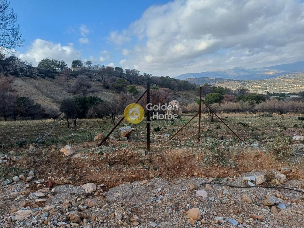 Parcel in Kalivia, Kalivia Thorikou — Photo 5 of 10