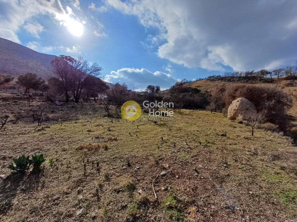 Parcel in Kalivia, Kalivia Thorikou — Photo 7 of 10