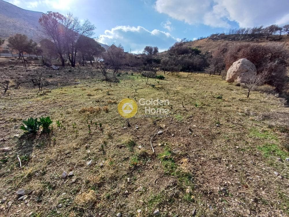 Parcel in Kalivia, Kalivia Thorikou — Photo 10 of 10