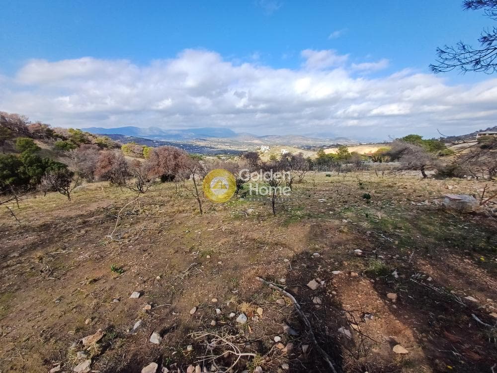Parcel in Kalivia, Kalivia Thorikou — Photo 1 of 10