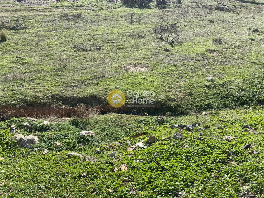 Αγροτεμάχιο στην Καλύβια, Καλύβια Θορικού — Φωτογραφία 2 από 15