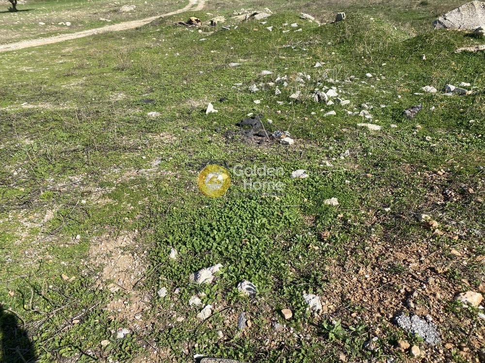 Αγροτεμάχιο στην Καλύβια, Καλύβια Θορικού — Φωτογραφία 3 από 15