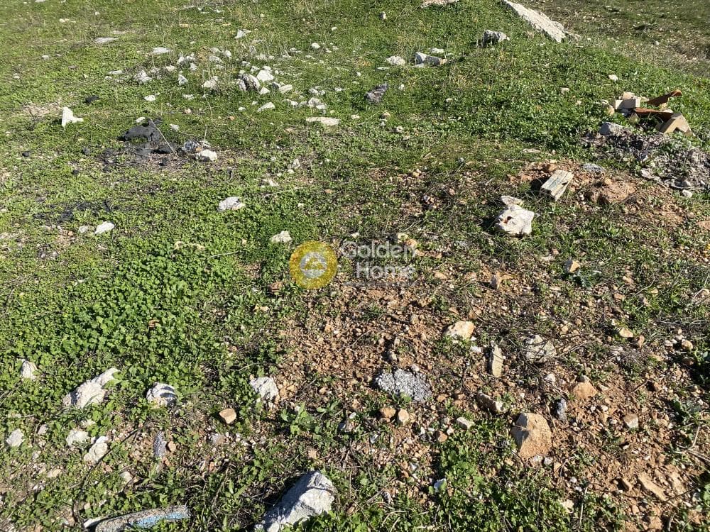 Αγροτεμάχιο στην Καλύβια, Καλύβια Θορικού — Φωτογραφία 4 από 15