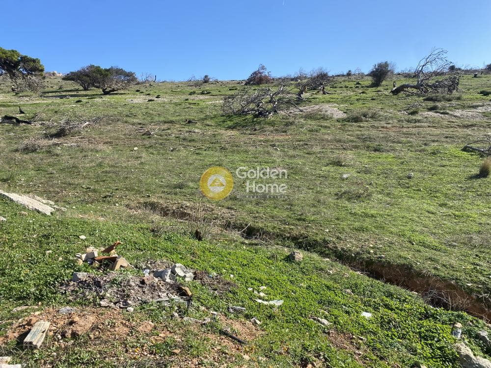 Αγροτεμάχιο στην Καλύβια, Καλύβια Θορικού — Φωτογραφία 7 από 15