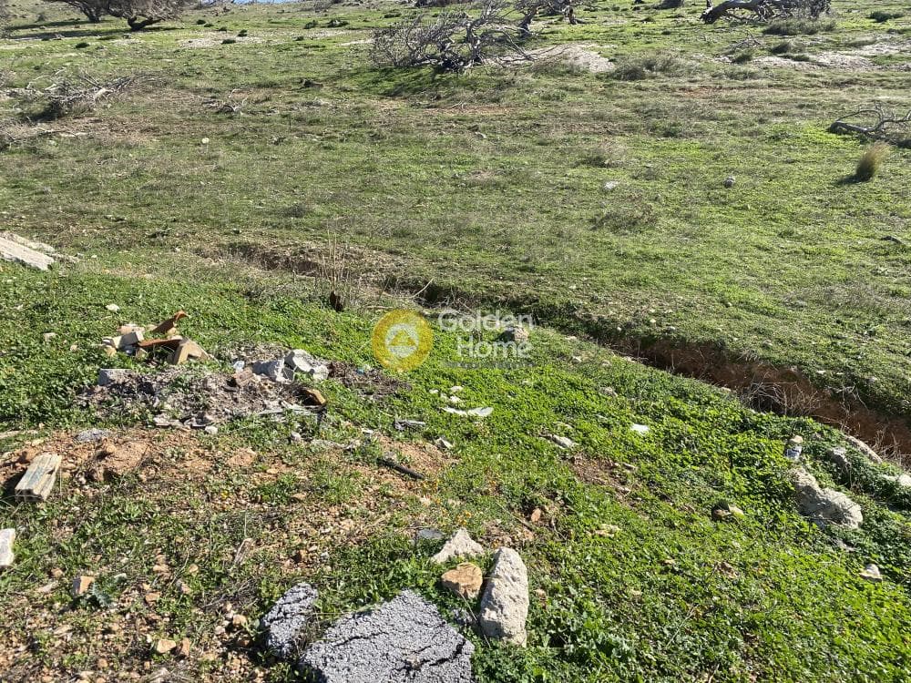 Αγροτεμάχιο στην Καλύβια, Καλύβια Θορικού — Φωτογραφία 8 από 15