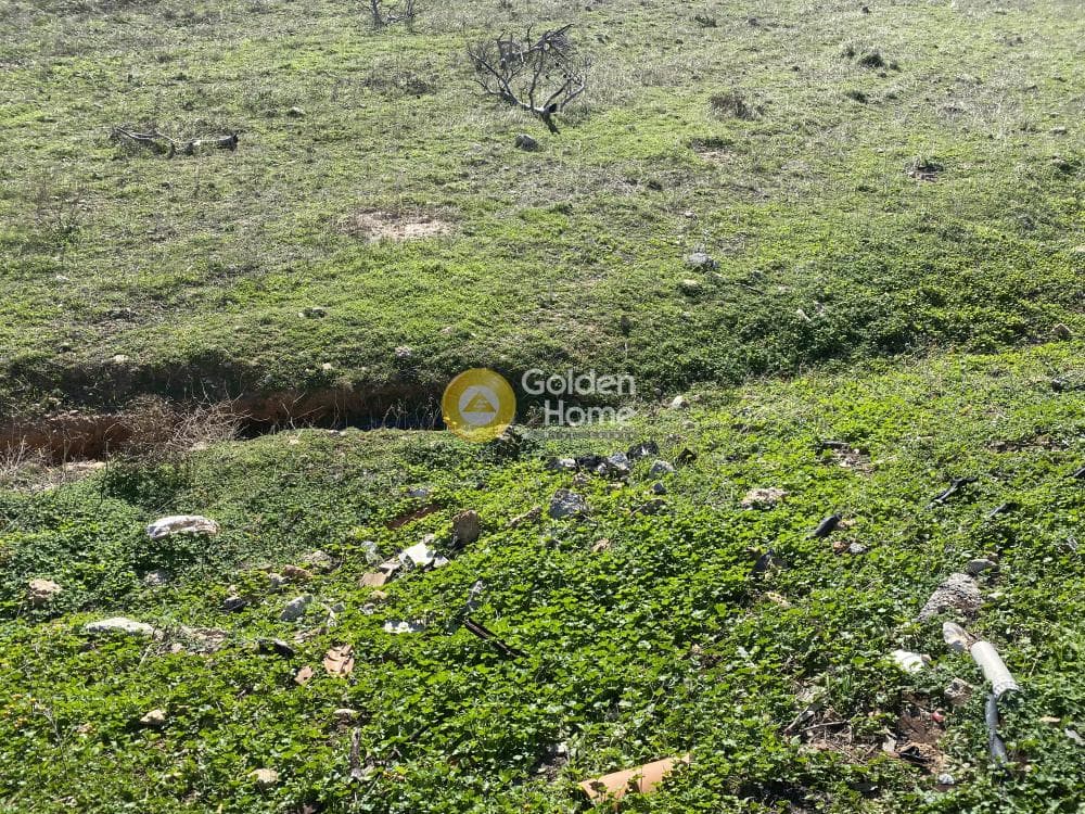 Αγροτεμάχιο στην Καλύβια, Καλύβια Θορικού — Φωτογραφία 10 από 15