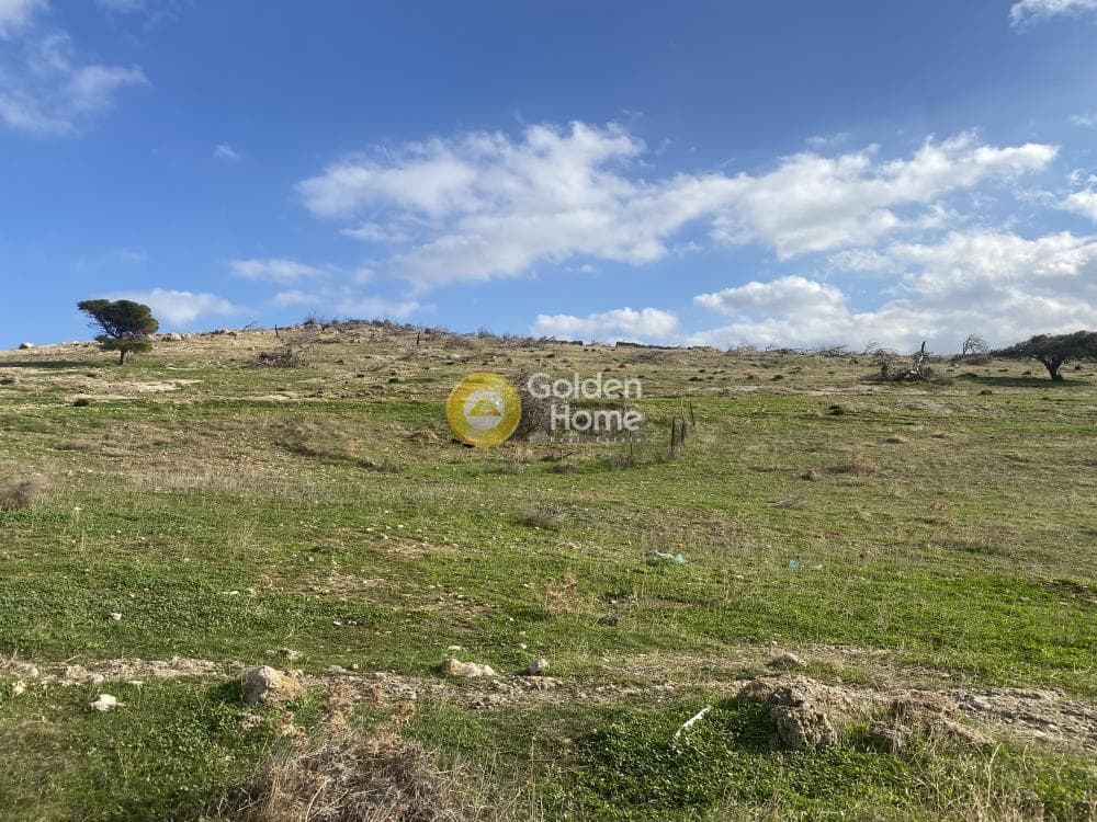 Αγροτεμάχιο στην Καλύβια, Καλύβια Θορικού — Φωτογραφία 13 από 15