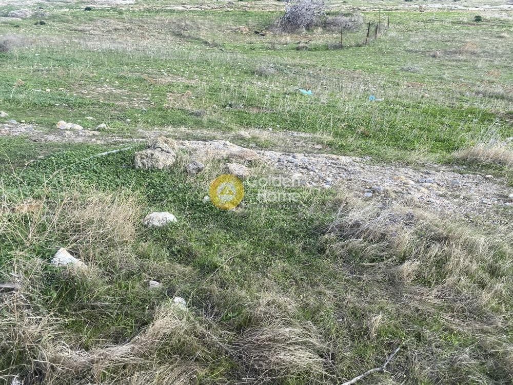 Αγροτεμάχιο στην Καλύβια, Καλύβια Θορικού — Φωτογραφία 11 από 15