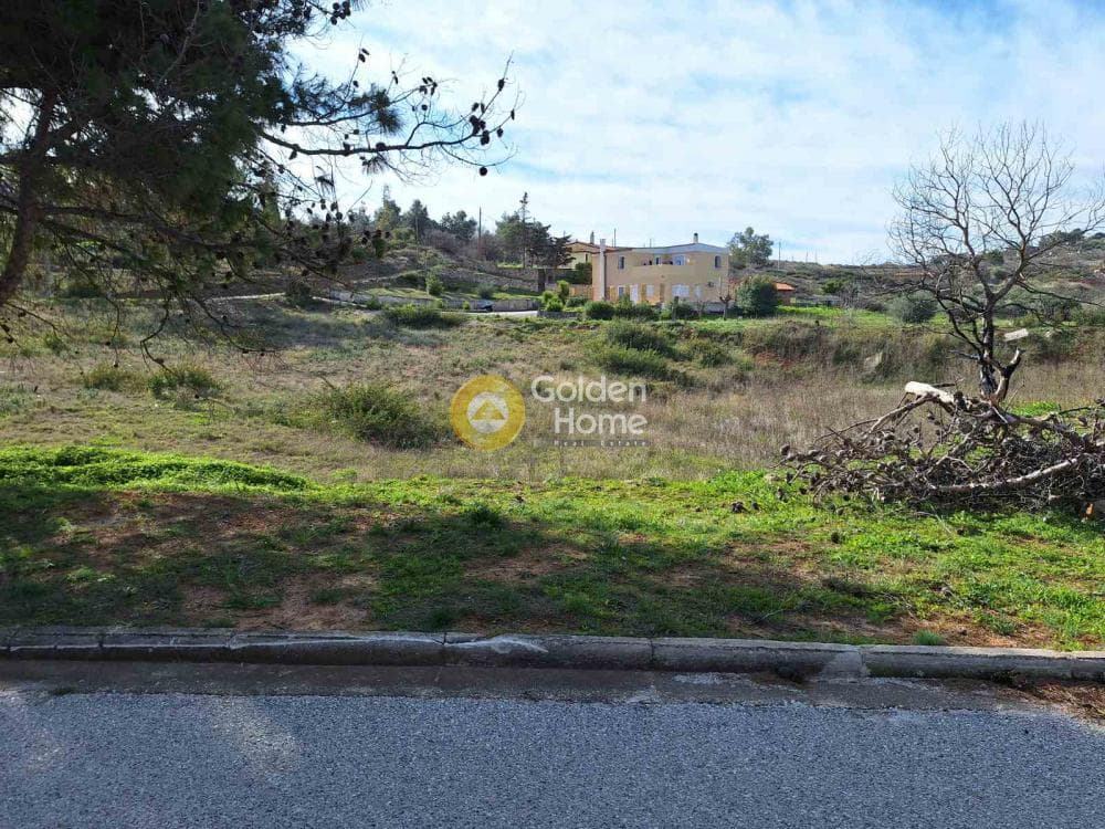Οικόπεδο στην Ντράφι, Πικέρμι — Φωτογραφία 1 από 11