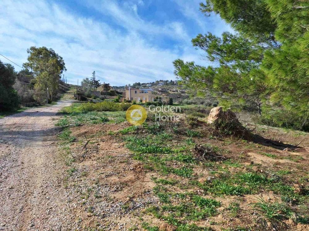 Οικόπεδο στην Ντράφι, Πικέρμι — Φωτογραφία 8 από 11