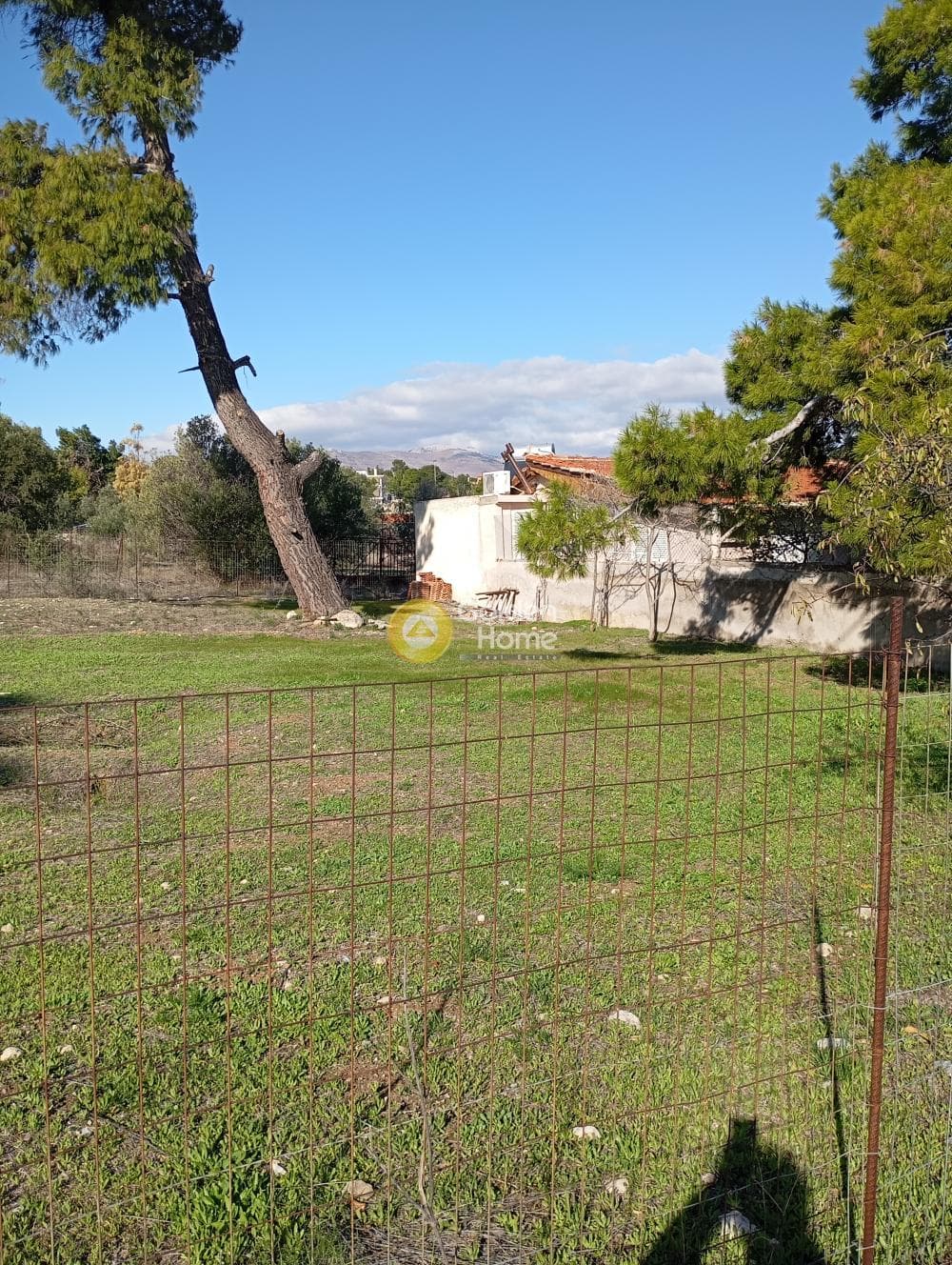 Αγροτεμάχιο στην Κέντρο, Αρτέμιδα (Λούτσα) — Φωτογραφία 1 από 5