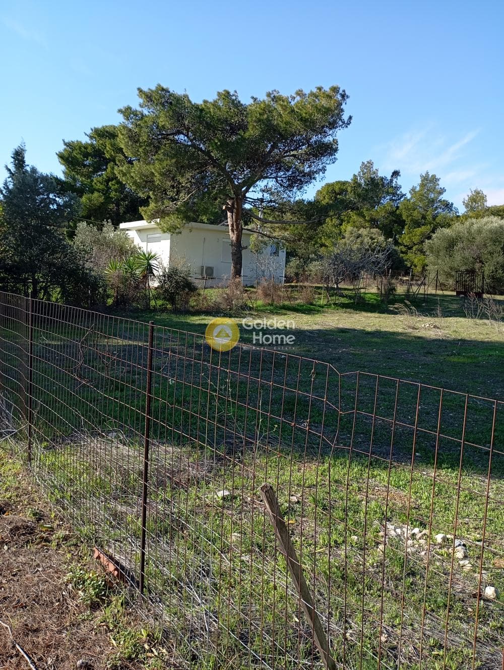 Αγροτεμάχιο στην Κέντρο, Αρτέμιδα (Λούτσα) — Φωτογραφία 2 από 5
