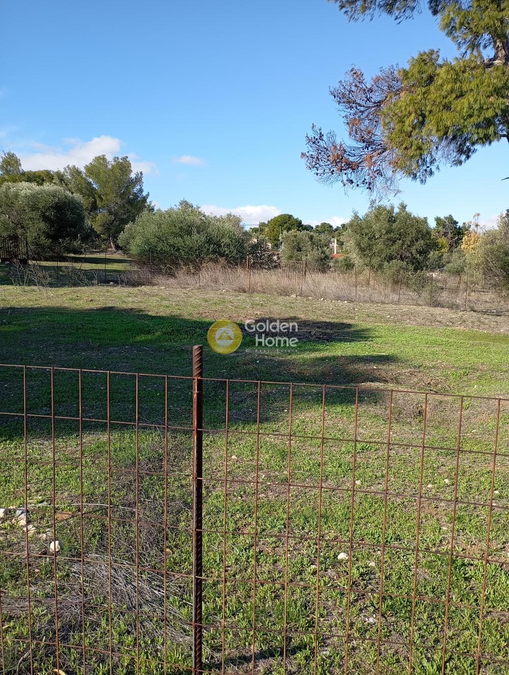 Αγροτεμάχιο στην Κέντρο, Αρτέμιδα (Λούτσα) — Φωτογραφία 3 από 5