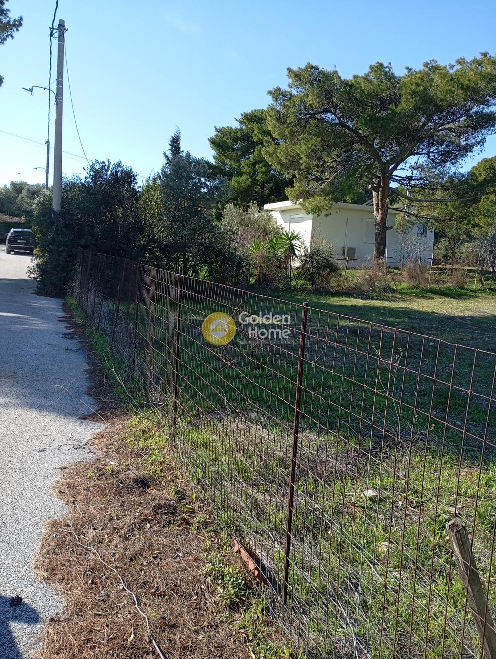 Αγροτεμάχιο στην Κέντρο, Αρτέμιδα (Λούτσα) — Φωτογραφία 4 από 5