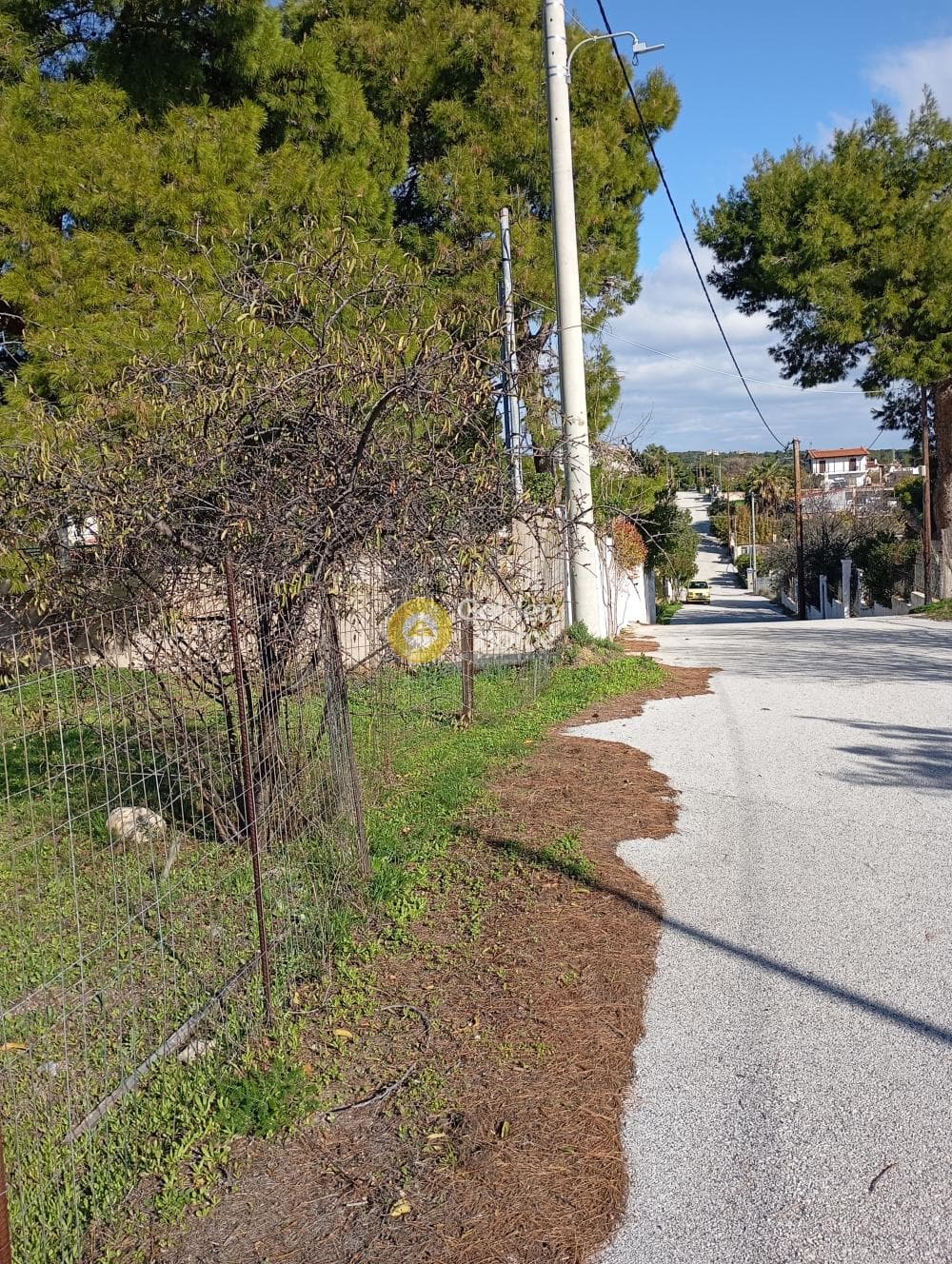 Αγροτεμάχιο στην Κέντρο, Αρτέμιδα (Λούτσα) — Φωτογραφία 5 από 5