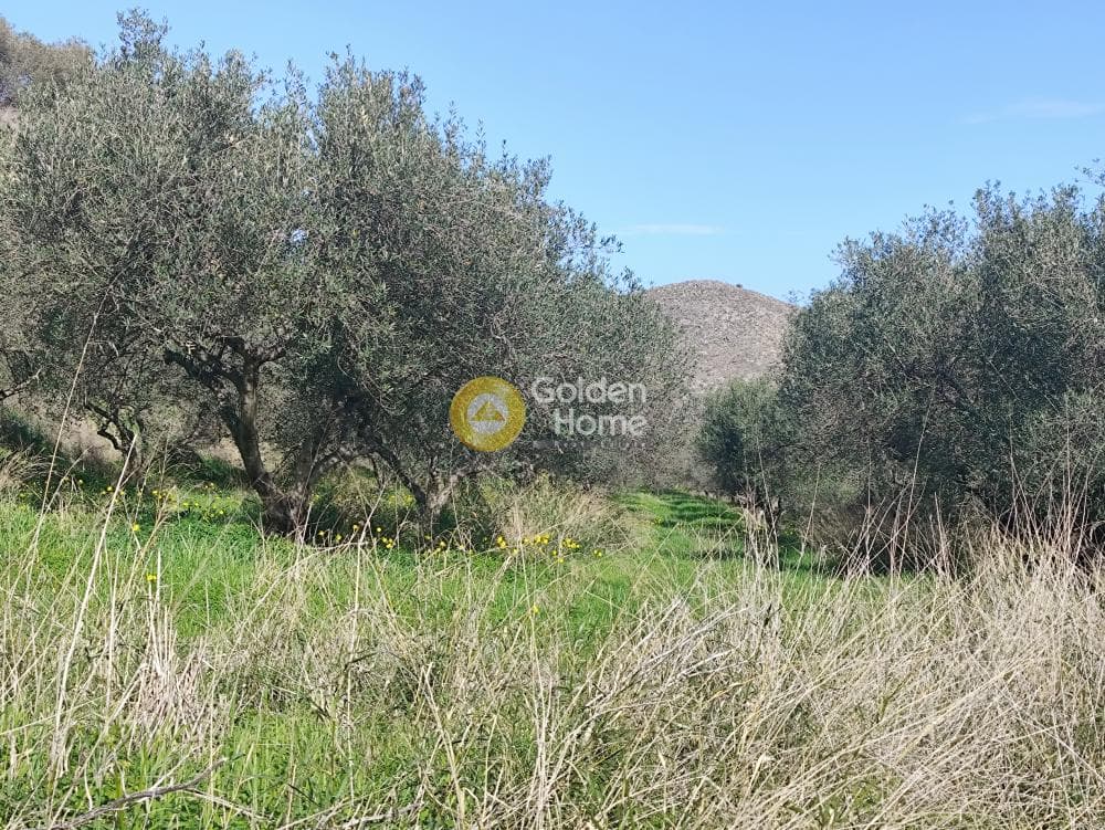 Building Plot in Elia, Episkopi — Photo 1 of 3