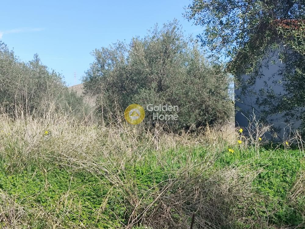 Building Plot in Elia, Episkopi — Photo 2 of 3