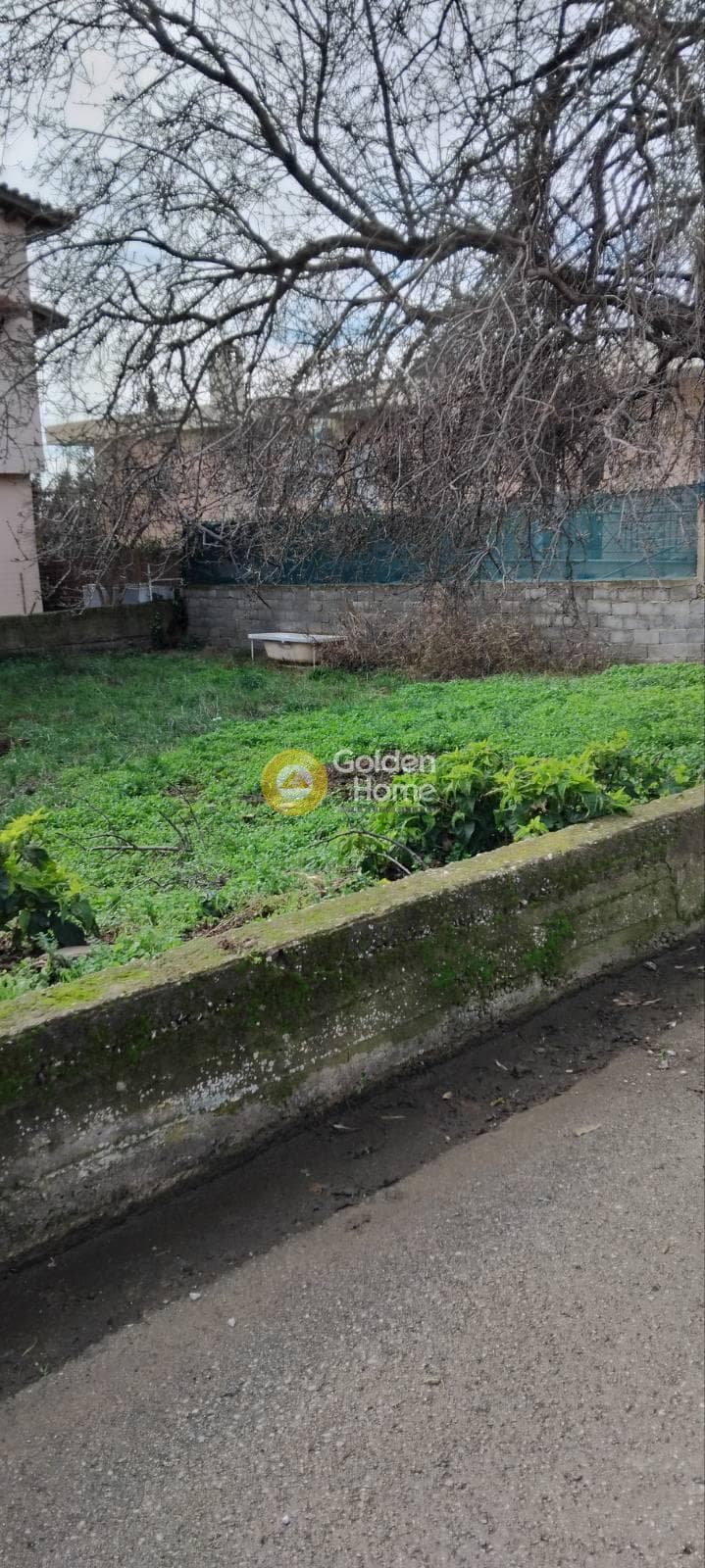 Αγροτεμάχιο στην Κέντρο, Γέρακας — Φωτογραφία 4 από 6