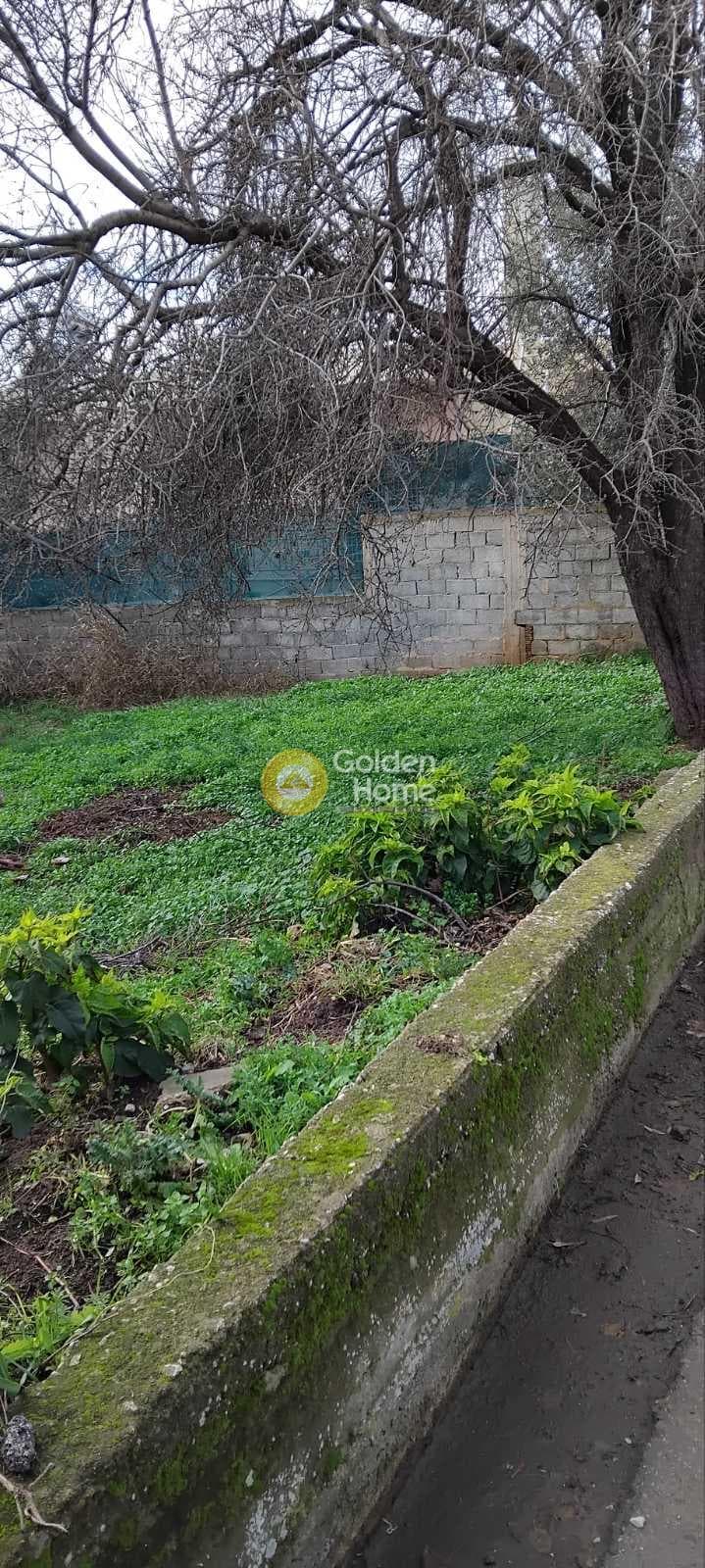 Αγροτεμάχιο στην Κέντρο, Γέρακας — Φωτογραφία 6 από 6