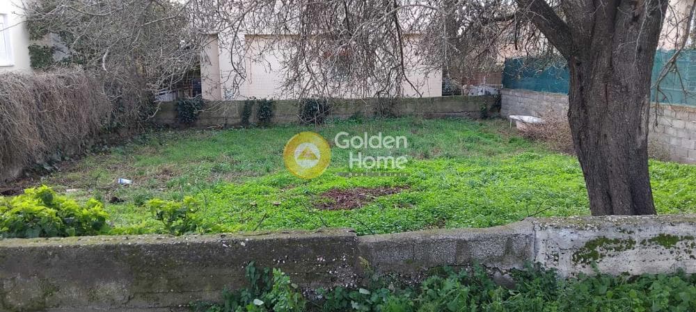 Αγροτεμάχιο στην Κέντρο, Γέρακας — Φωτογραφία 2 από 6