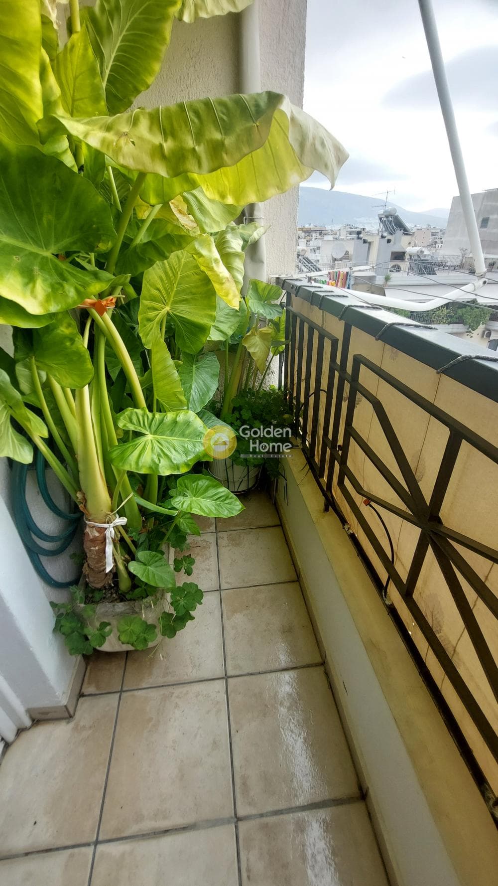 Διαμέρισμα στην Άνω Δάφνη, Δάφνη — Φωτογραφία 12 από 36