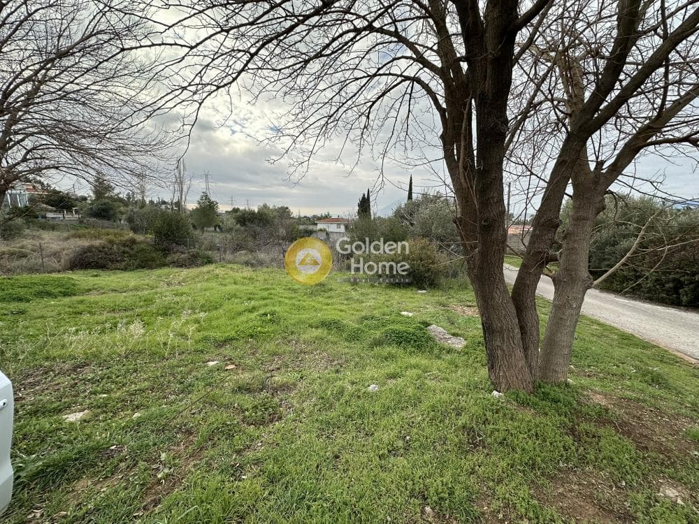 Αγροτεμάχιο στην Κέντρο, Γέρακας — Φωτογραφία 1 από 7