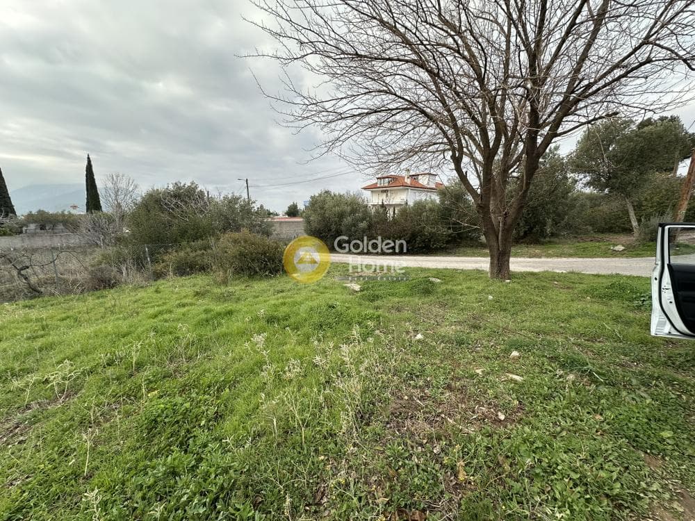 Αγροτεμάχιο στην Κέντρο, Γέρακας — Φωτογραφία 2 από 7