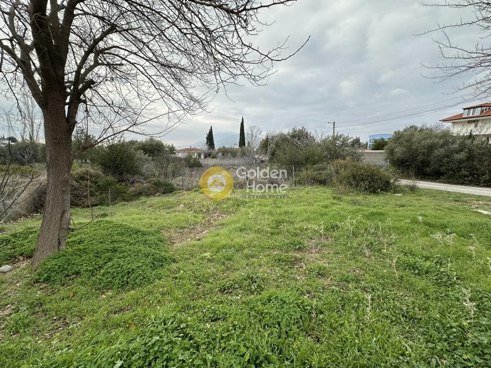 Αγροτεμάχιο στην Κέντρο, Γέρακας — Φωτογραφία 3 από 7