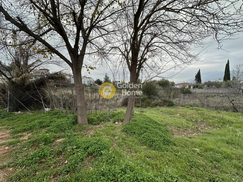 Αγροτεμάχιο στην Κέντρο, Γέρακας — Φωτογραφία 4 από 7