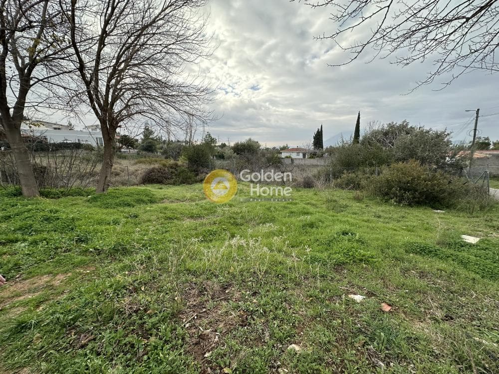 Αγροτεμάχιο στην Κέντρο, Γέρακας — Φωτογραφία 5 από 7