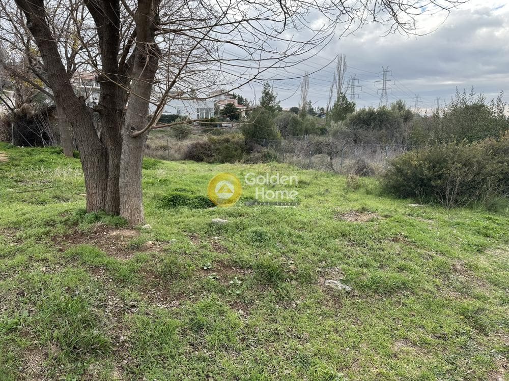 Αγροτεμάχιο στην Κέντρο, Γέρακας — Φωτογραφία 6 από 7