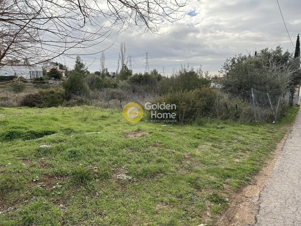 Αγροτεμάχιο στην Κέντρο, Γέρακας — Φωτογραφία 7 από 7