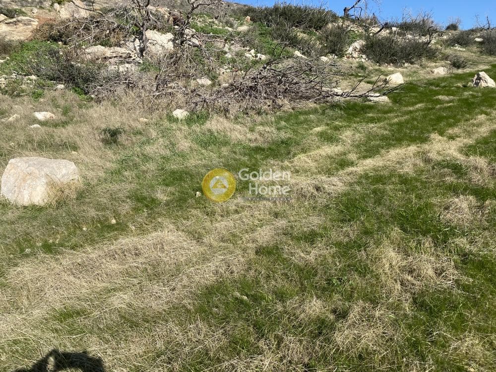 Αγροτεμάχιο στην Άγιος Παντελεήμονας, Ανάβυσσος — Φωτογραφία 2 από 15