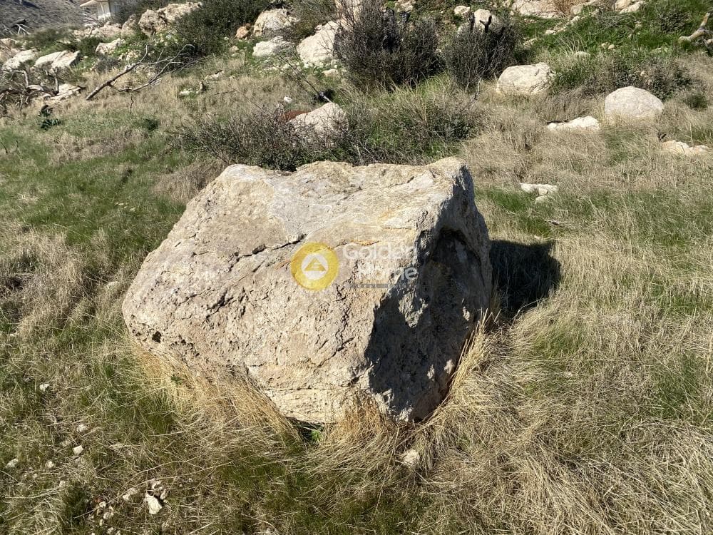 Αγροτεμάχιο στην Άγιος Παντελεήμονας, Ανάβυσσος — Φωτογραφία 3 από 15