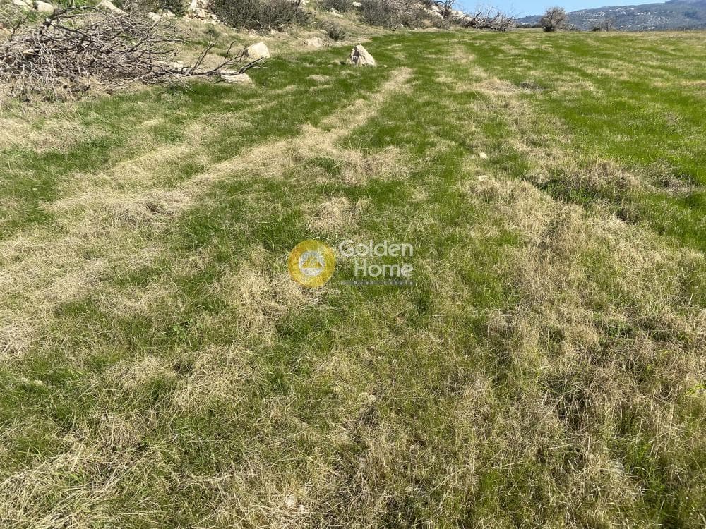 Αγροτεμάχιο στην Άγιος Παντελεήμονας, Ανάβυσσος — Φωτογραφία 1 από 15