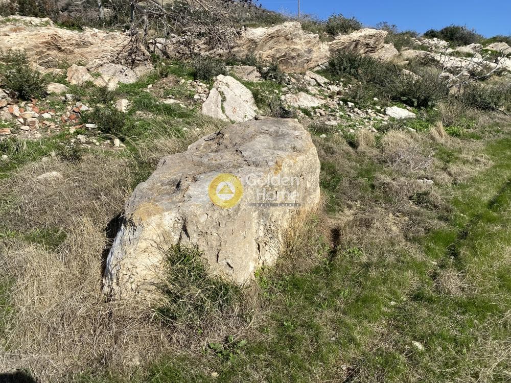 Αγροτεμάχιο στην Άγιος Παντελεήμονας, Ανάβυσσος — Φωτογραφία 7 από 15