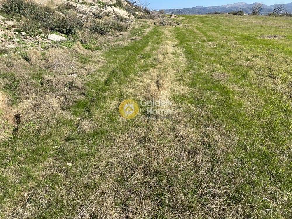 Αγροτεμάχιο στην Άγιος Παντελεήμονας, Ανάβυσσος — Φωτογραφία 8 από 15