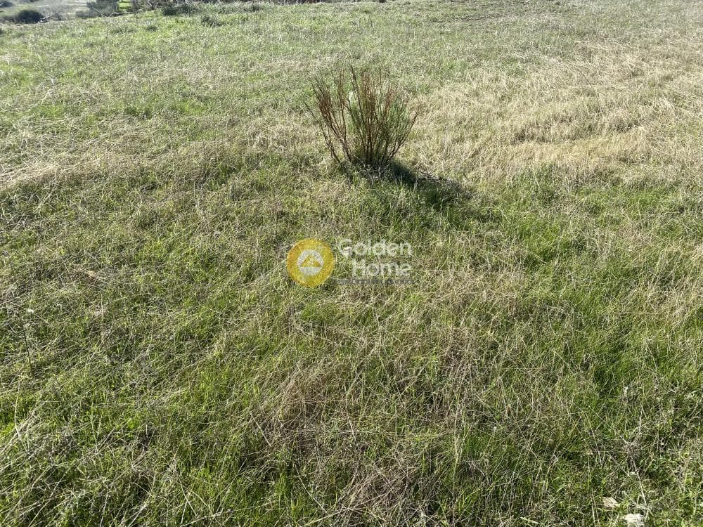 Αγροτεμάχιο στην Άγιος Παντελεήμονας, Ανάβυσσος — Φωτογραφία 11 από 15