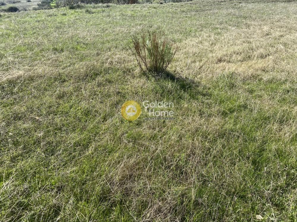 Αγροτεμάχιο στην Άγιος Παντελεήμονας, Ανάβυσσος — Φωτογραφία 15 από 15