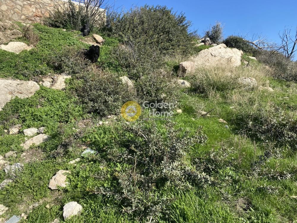 Αγροτεμάχιο στην Άγιος Παντελεήμονας, Ανάβυσσος — Φωτογραφία 12 από 15