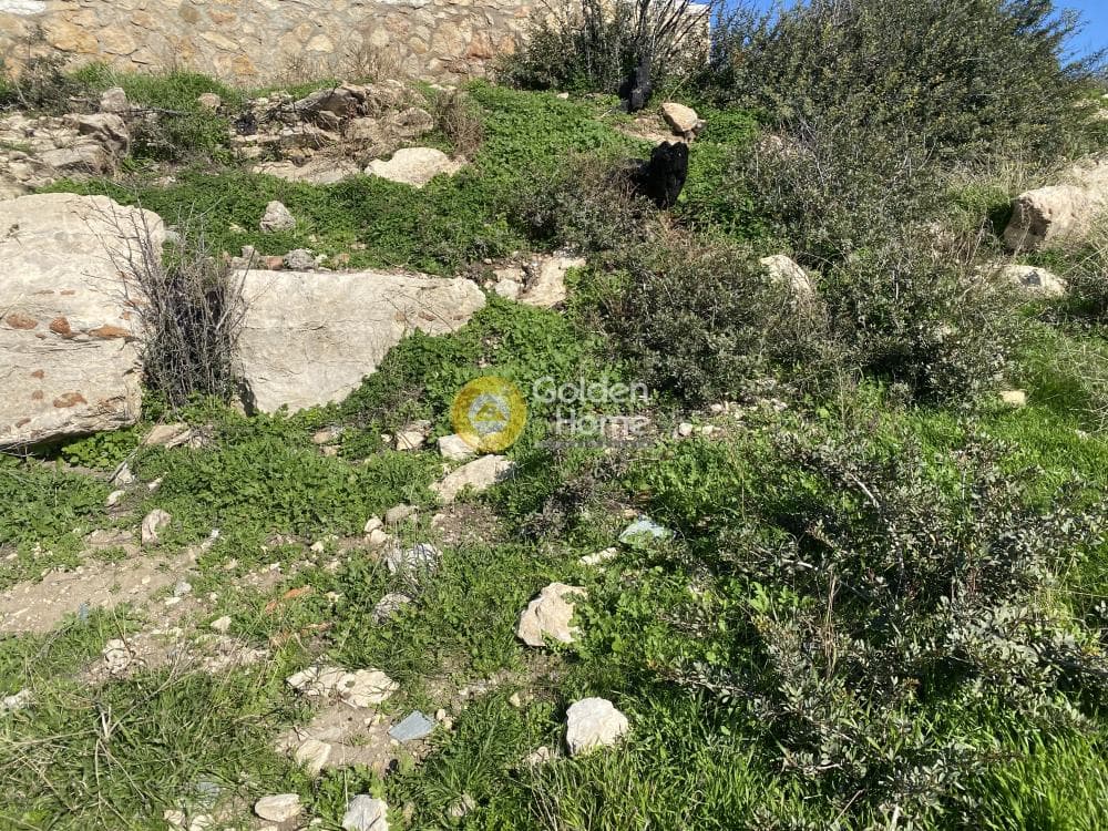 Αγροτεμάχιο στην Άγιος Παντελεήμονας, Ανάβυσσος — Φωτογραφία 14 από 15
