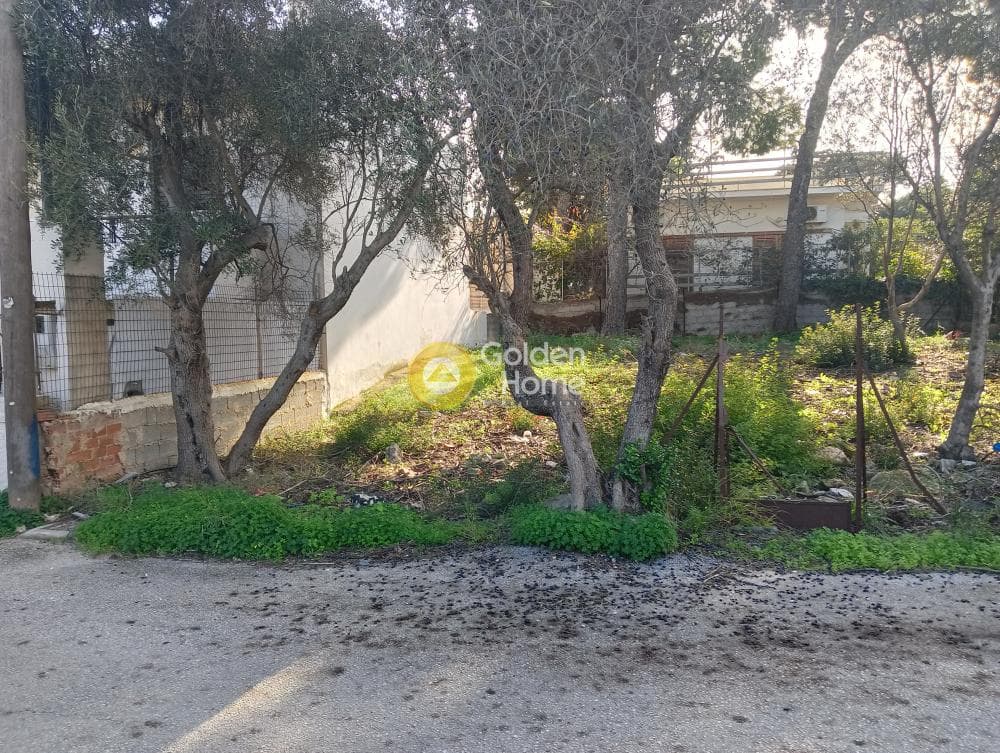 Οικόπεδο στην Άγιος Σεραφείμ, Αρτέμιδα (Λούτσα) — Φωτογραφία 1 από 5