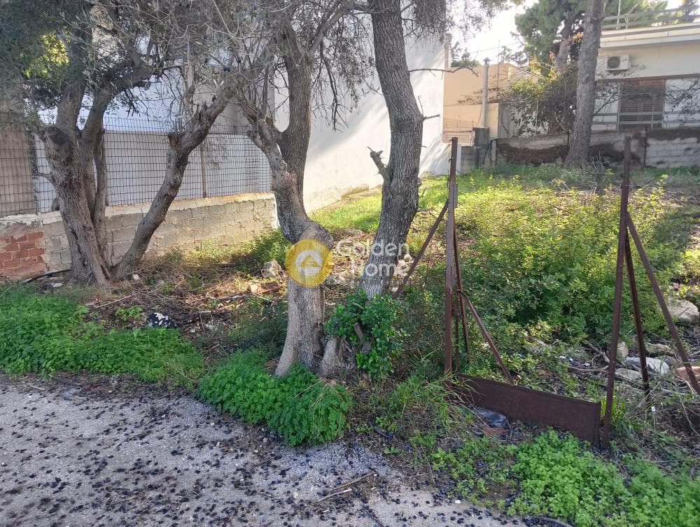 Οικόπεδο στην Άγιος Σεραφείμ, Αρτέμιδα (Λούτσα) — Φωτογραφία 3 από 5