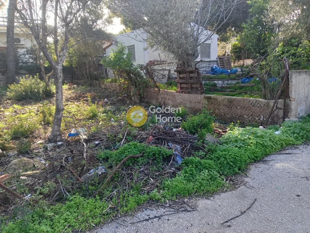 Οικόπεδο στην Άγιος Σεραφείμ, Αρτέμιδα (Λούτσα) — Φωτογραφία 5 από 5