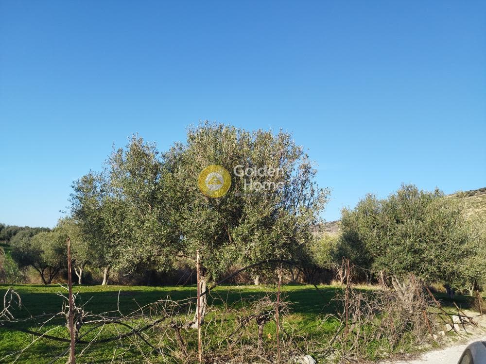 Οικόπεδο στην Άγιος Βλάσιος, Αρχάνες — Φωτογραφία 1 από 5