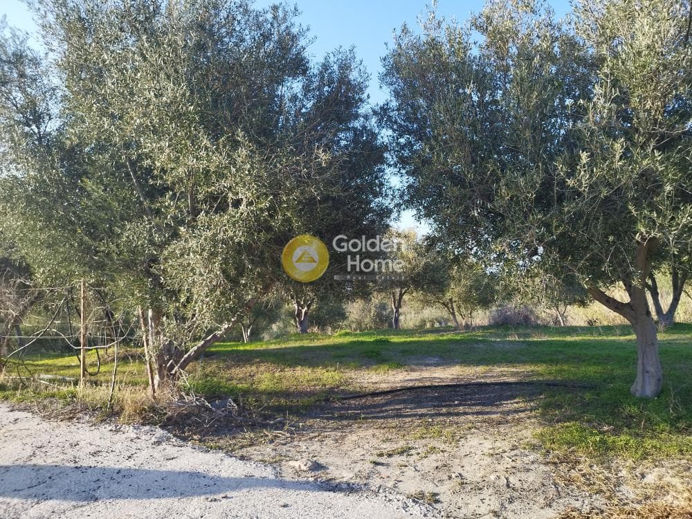 Οικόπεδο στην Άγιος Βλάσιος, Αρχάνες — Φωτογραφία 4 από 5