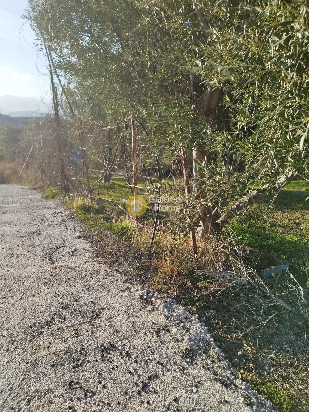 Οικόπεδο στην Άγιος Βλάσιος, Αρχάνες — Φωτογραφία 5 από 5
