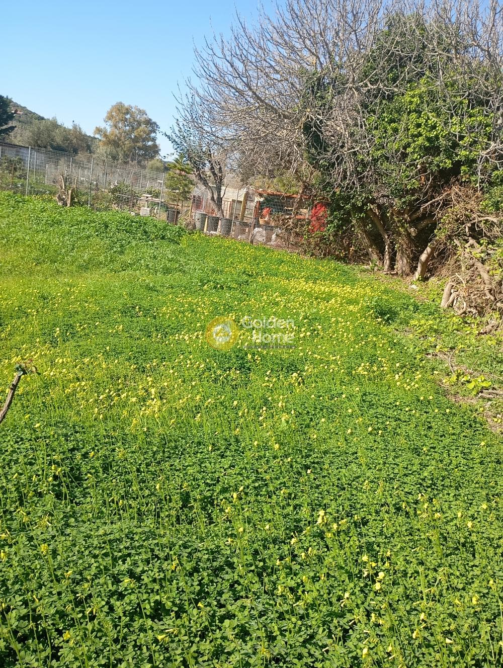 Parcel in Ikismos Aiolos, Rafina — Photo 1 of 3