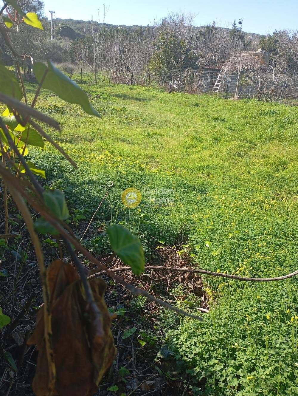 Parcel in Ikismos Aiolos, Rafina — Photo 2 of 3
